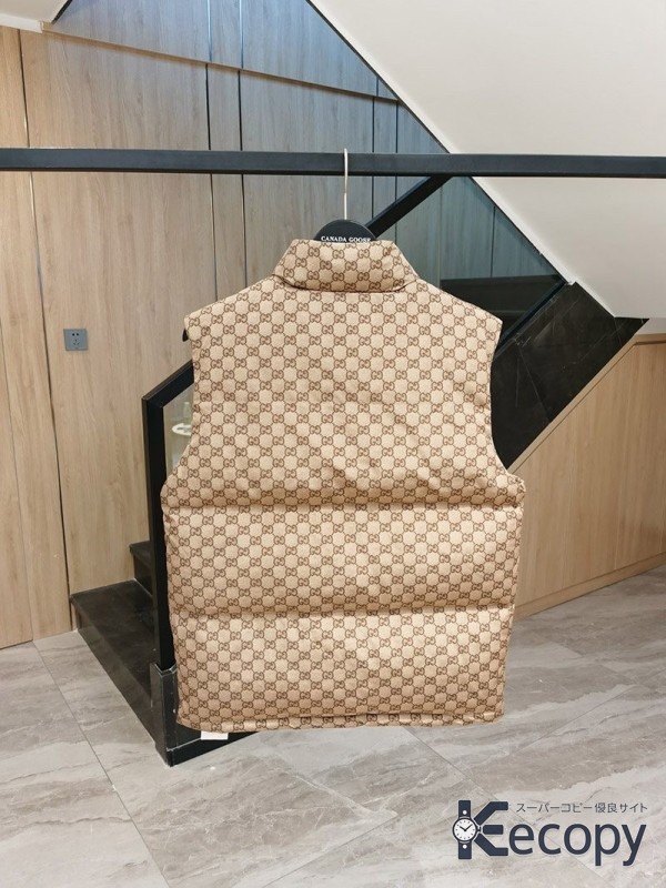 上品な逸品 ザ・ノース・フェイス ダウンベスト 快適な着心地 最高級コピー 1318 画像 2