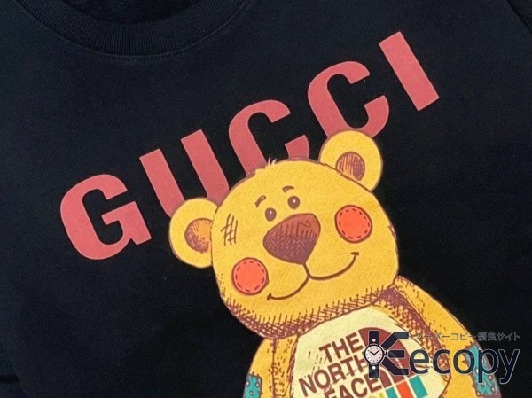 高級感あふれる ザ・ノース・フェイス パーカー 存在感ある仕上がり N級品 通販 1585 画像 3
