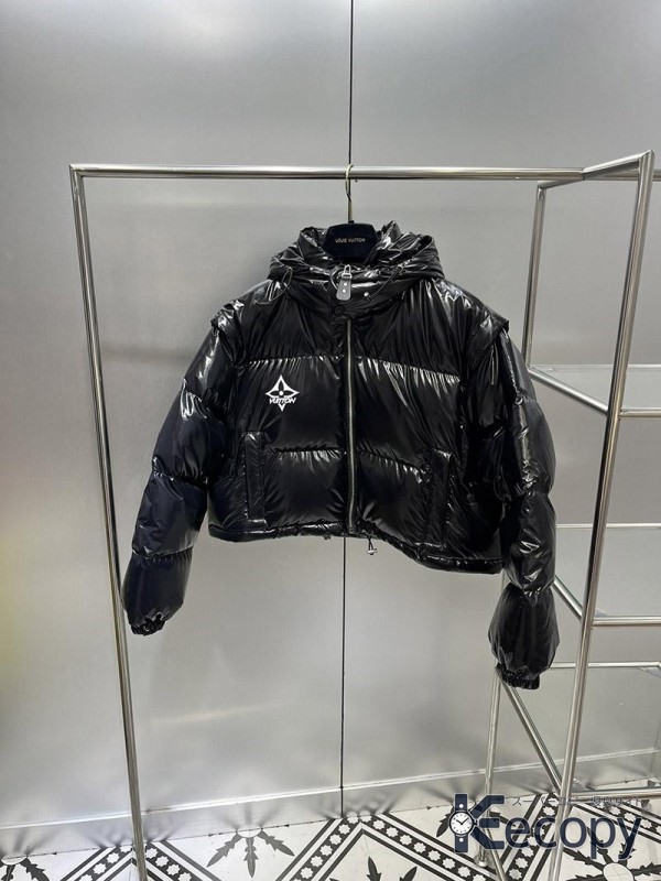 上品な逸品 ルイ・ヴィトン ダウンジャケット 存在感ある仕上がり 最高級コピー 2152 画像 10