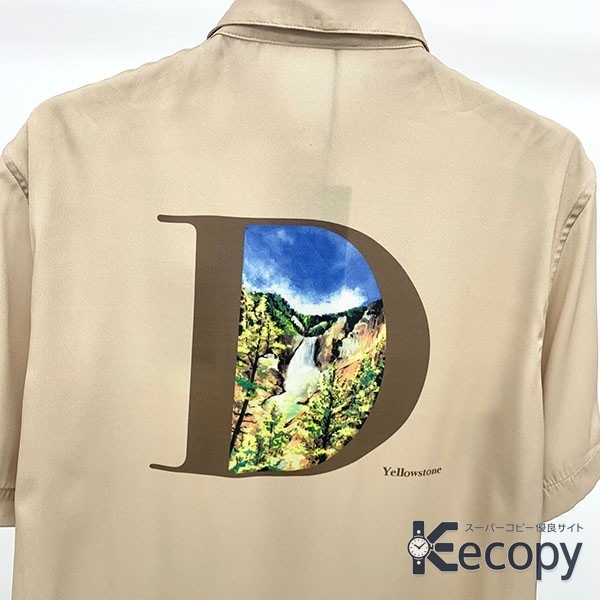 おすすめ ディオール 半袖 旬のスタイル N級品 通販 3192 画像 5
